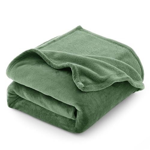 CozyLux Kuscheldecke Flauschig Decke Groß XXL 230x270 cm für 4 Jahreszeiten - Weich/Warm/Leicht Sofadecke Wohndecke Couchdecke für Bett/Sofa/Couch, Flanell Fleecedecke 270x230 cm Grün von CozyLux
