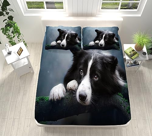 Spannbettlaken 140x200 cm, Tier Border Collie Hund Weiches Mikrofaser Spannbetttuch für Boxspringbett und Topper - Atmungsaktiver Matratzenschoner Tiefe 30 cm für Kinder und Jugendliche von CozyRest