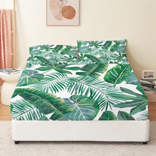 Spannbettlaken 90x200 cm mit 2 Kissenbezug Tropical Rainforest Leaves Muster Bettlaken, Weich Mikrofaser Matratzenschoner Spannbetttuch, Tiefe Tasche 30cm Grün Spannbettlaken für Boxspringbett von CozyRest