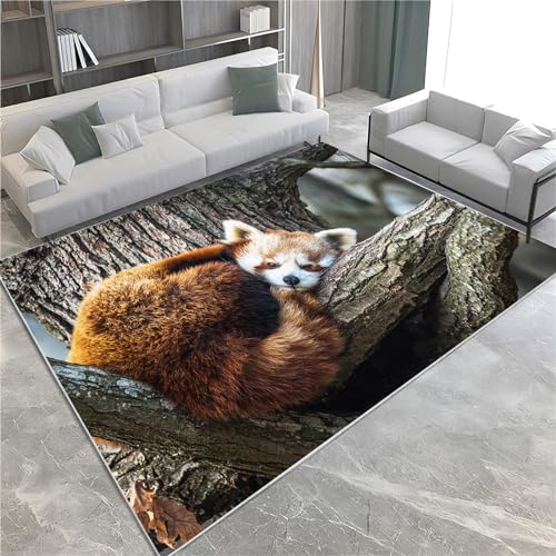 Teppich Wohnzimmer Schlafzimmer Home Deko, Niedliches Tierisches Rotes Pandamuster Flanell Kurzflor Teppiche Flauschig Weich Rutschfest, Teppich Schmutzabweisend Waschbar für Kinderzimmer, 120x170 cm von CozyRest