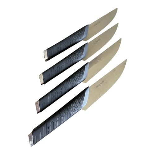 cozydiscount Kitchen Writing Set mit 4 Steakmessern, japanischer Stahl, AUS-10, französisches Design von cozydiscount