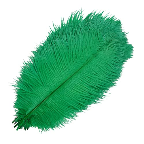Cozylkx 10 Stück/los Farbige Straußenfedern, 6"-24" Optionale Größe, Natürliche Plume Federn Für Handwerks Wohnkultur,Gras-grün,25-30cm / 10-12 Zoll Cozylkx 10 Stück/los Farbige Straußenfedern, 6"-24" Optionale Größe, Natürliche Plume Federn Für Handwerks Wohnkultur,Gras-grün,25-30cm / 10-12 Zoll von Cozylkx