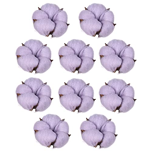 Cozylkx 10 Stück Baumwollkopf Natürliche Getrocknete Gefälschte Baumwollblumen, Natürliche Wattebällchen Blume Künstliche Baumwollblume Lavendel von Cozylkx