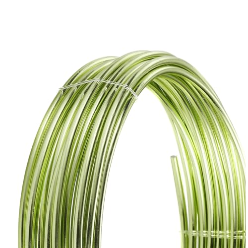 Cozylkx 5 Meter Eloxierter Aluminiumdraht Zum Modellieren, 2mm Metall-Basteldraht, Biegsamer Formdraht Für Schmuckherstellung, Modellierung, Bonsai-Training Cozylkx 5 Meter Eloxierter Aluminiumdraht Zum Modellieren, 2mm Metall-Basteldraht, Biegsamer Formdraht Für Schmuckherstellung, Modellierung, Bonsai-Training von Cozylkx