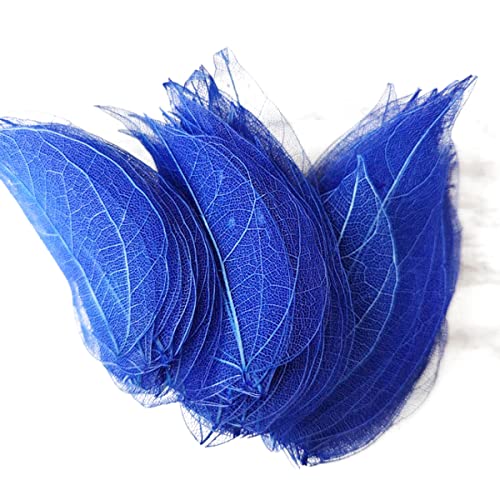 Cozylkx 95 Stück Natürliche Skelettblätter Bunte Getrocknete Blätter Natürliches Scrapbooking Handwerk Diy-kartenverzierungen(Blau) von Cozylkx