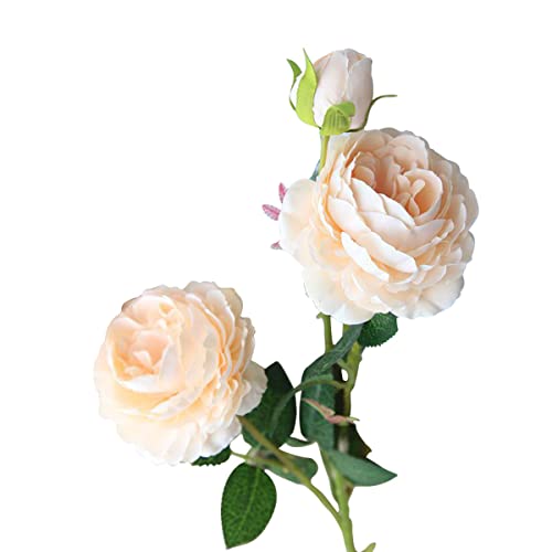Cozylkx Künstliche Pfingstrosen Blumen Aus Seidenblume, 3 Köpfe, 23,6 Zoll, Langer Stiel, Kunstblumen Für Hohe Vasen, Hochzeitsdekoration,Sekt von Cozylkx
