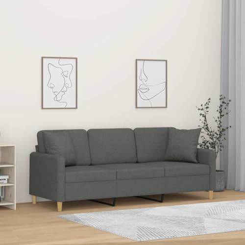 Cozynest 3-Sitzer-Sofa mit Zierkissen Dunkelgrau 180 cm Stoff von Cozynest