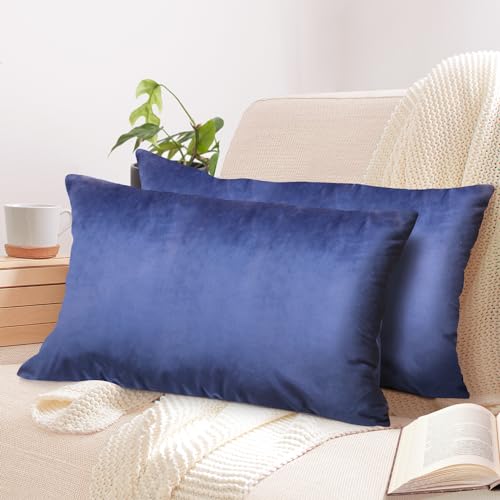 2er Set Kissenbezug 40x60 cm blau Samt flauschig weich Sofakissen Dekokissenbezug Kissenhülle für Couch, Schlafzimmer, Wohnzimmer & Balkon, Ocean, mit verstecktem Reißverschluss von Cozyor