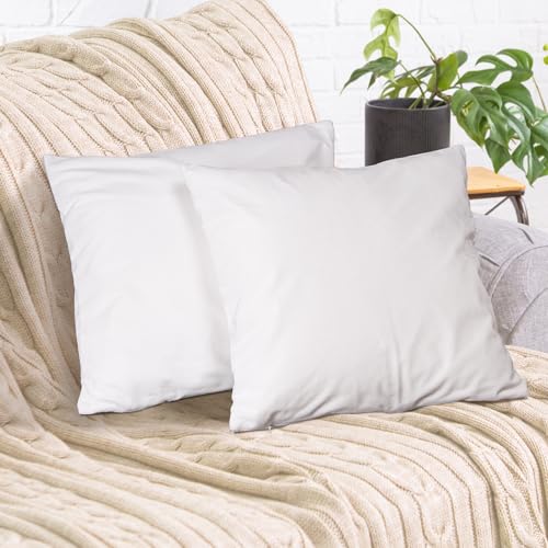 Cozyor 2er Set Sofakissen mit Füllung und Bezug 50x50cm weiß weiche Samt Kissenhülle mit Dekokissen für Sofa, Schlafzimmer, Wohnzimmer & Balkon, mit verstecktem Reißverschluss von Cozyor