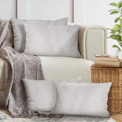 Cozyor 4er Set Sofakissen mit Füllung und Bezug 40x60cm hellgrau weiche Samt Kissenhülle mit Dekokissen für Sofa, Schlafzimmer, Wohnzimmer & Balkon, mit verstecktem Reißverschluss von Cozyor