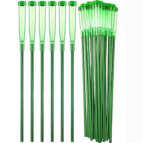 Cpolebev 25 Pack Blumen Wasser Rohre für Blumen Lange Blumen Wasser Rohre für Frische Blumen für Blumen Arrangements Blumen Bedarf von Cpolebev