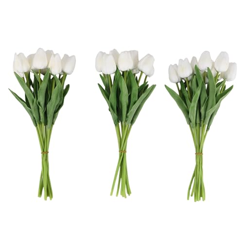 Cpolebev 30 StüCk KüNstliche Tulpen Blumen Echte BerüHrung Tulpen GefäLschte PU Tulpen Strauß Latex WeißE Tulpe und SchöNe Blumen () von Cpolebev