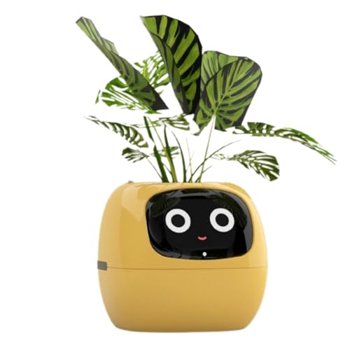 Cpolebev Ivy Smart Planter, USB Wiederaufladbarer Kleiner Blumentopf für Den Innenbereich Als Dekoration für Den Innenbereich. Macht das Pflanzenaufziehen Einfach und Macht Spaß. Gelb von Cpolebev