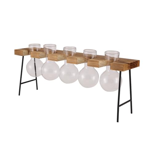 Cpolebev Vermehrungsstationen Desktop-Luftpflanzen-Terrarium, Glas-Pflanzgefäß, Glasvase mit HolzstäNder - Pflanzenterrarium von Cpolebev