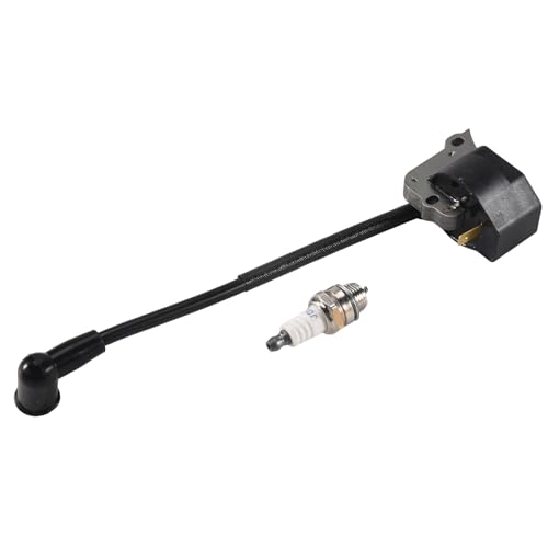 Cpolebev ZüNdung Spulen ZüNdung Kerzen Satz für FS55 FS55C FS46 FC55 FS38 FS45 FS55 HL45 HS45 KM55 Trimmer Motorsense 4140 400 von Cpolebev