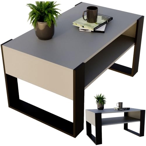 CraftPAK Wohnzimmer Tisch für Couch aus hochwertigem Holzwerkstoff, moderner Couchtisch mit zusätzlicher Ablagefläche, Sofatisch für Wohnzimmer, couchtisch grau, Farbe Grau-Schwarz von CraftPAK