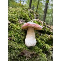 Boletus Pilz Ornamente, Christbaumschmuck, Textile Pilzskulptur Boletus Pilz Ornamente, Christbaumschmuck, Textile Pilzskulptur von CraftPieToys