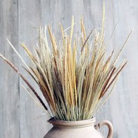 100 Stäbchen Getrocknete Gräserzweige, Naturgrasstrauß, Getrocknetes Gras Zum Befüllen Von Vasen, Trockenblumen Gesteck, Wohnkultur von CraftZoom