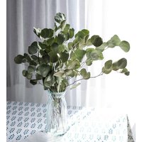 Getrockneter Silber Dollar Eukalyptus Bund, Natürlicher Bündel, Getrocknete Blumen Arrangement, Home Dekoration von CraftZoom