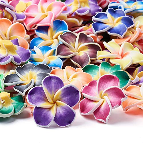 Craftdaady 100 Stück 30 mm Polymer Ton Blumen Perlen Hawaii Lei Plumeria Perlen Chunky Perlen gemischte Farben für handgemachte Schmuck Perlen DIY von Craftdady