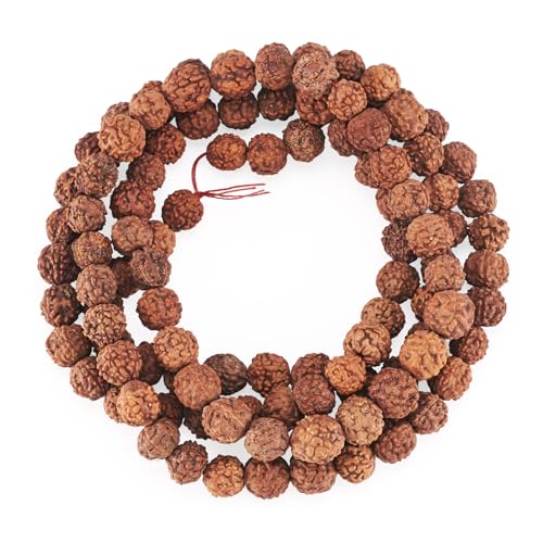 Craftdady 100 Stück Ungefärbte Natürliche Rudraksha-Perlen - Authentische Himalaya-Echte Runde Perlen für Rosenkranz, Japa Mala, Gebetskette, Puja Meditation von Craftdady