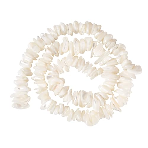 Craftdady Muschelkernperlen für selbstgemachte Halsketten, Armbänder, Sommer-, Strandschmuck, 110 Stück/Strang, Weiß, 8 ~ 10 mm von Craftdady