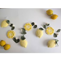 Filz Zitrone Girlande, Sommer Dekoration Für Kaminsims, Zitrone, Dekoration, Zitrone von CraftedbystephCo