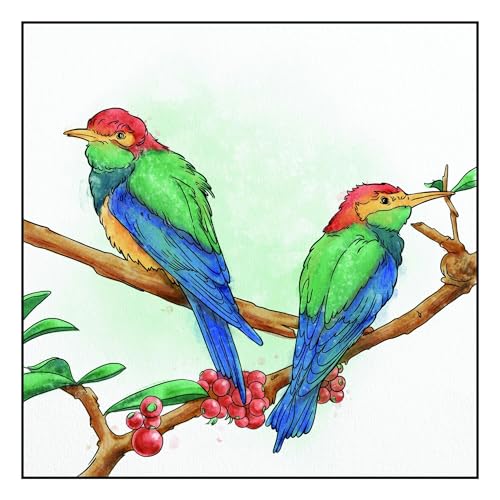 Spectrum Noir SN-AQ12-VNAT Crafter's Companion-Aqua Dual Tip Watercolour Markers-Vivid Nature by, One Size von Crafter's Companion