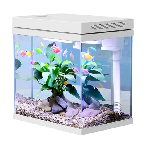 10L Nano Fischtank Aquarium mit LED-Leuchten & Filtersystem,Filtermedien, tropischeAquarien (10L) von Craftsboys