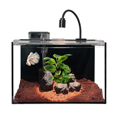 Craftsboys 11L Ultra-Klar Aquarium-Set mit LED-Beleuchtung, Filter, Sand & Steinen - Regenwald-Stil Fischbecken 30x18x20cm von Craftsboys