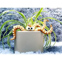 Glow in The Dark Kraken Tentakel Pflanzen Haustier Mit Goldener Krone von CraftyMissChristy