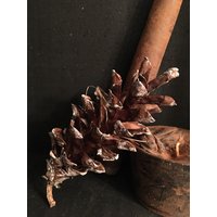 Duftende Weißspitzen Tannenzapfen von CranberryCornstalkCo