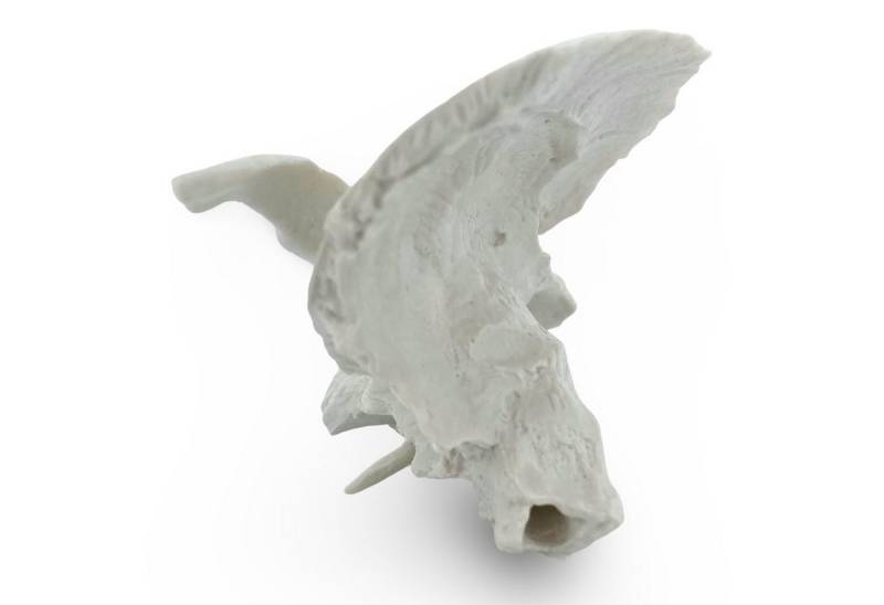 Cranstein Scientific Dekoobjekt Schläfenbein Os Temporale Anatomie Modell lebensgroß von Cranstein Scientific