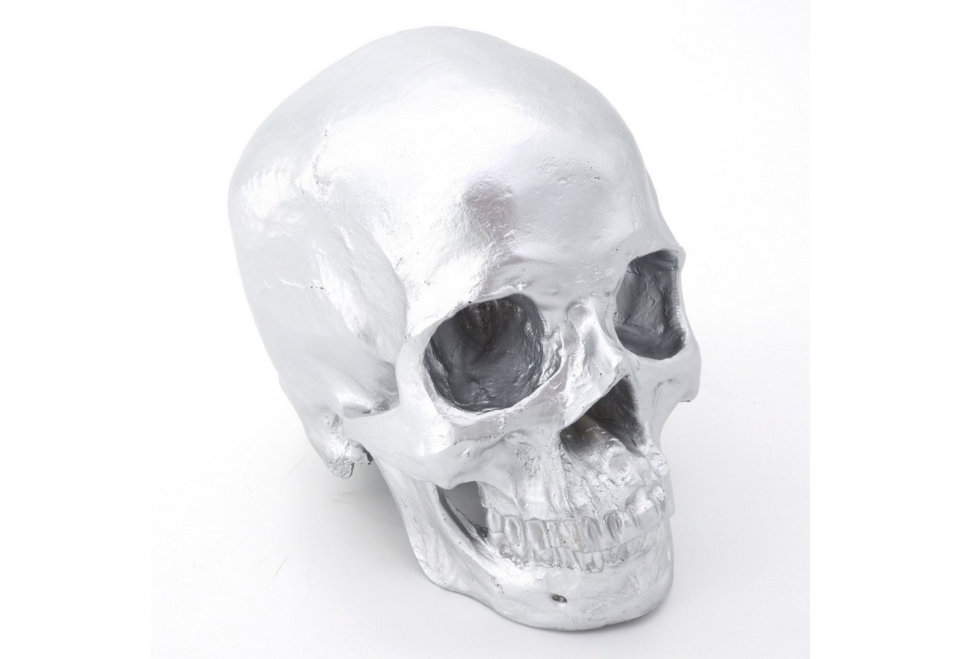Cranstein Scientific Dekoobjekt menschliches Schädel Modell mit separater Unterkiefer Hell-Silber han von Cranstein Scientific