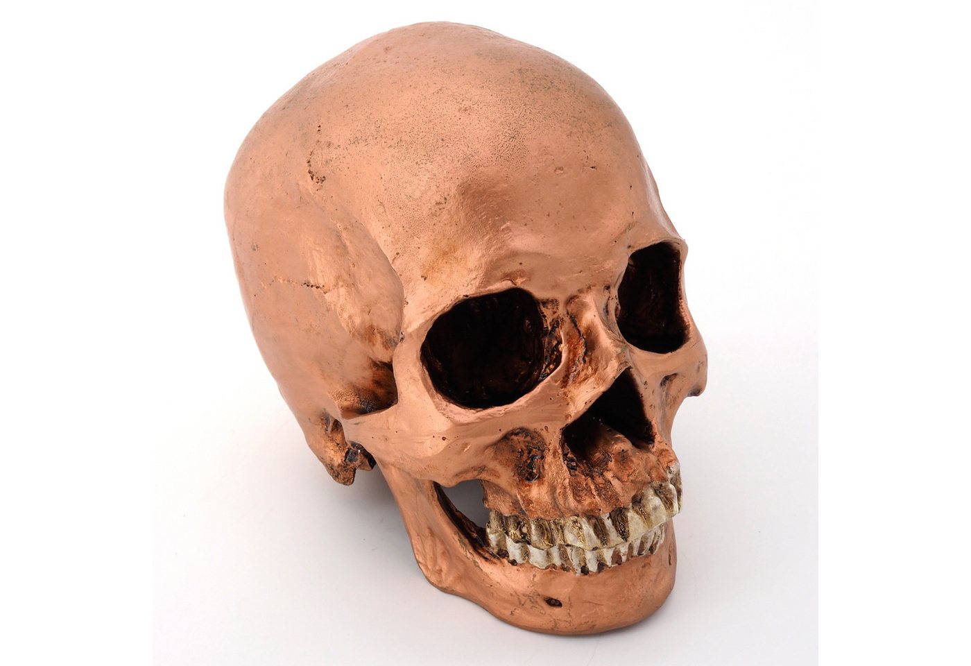 Cranstein Scientific Dekoobjekt menschliches Schädel Modell mit separater Unterkiefer Kupfer befleckt von Cranstein Scientific