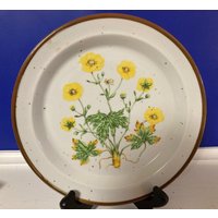 Vintage Buttercup Design 6Er Set Gesprenkelt Steinzeug Nr. 204 Salat Luncheon Teller Mcm von CrazyRedHeadVintage