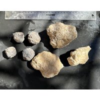 Ungeöffnetes Geoden Lot Brechen Sie Ihre Eigenen Quarz Kristalle - 7P Paket von CrazyassGemShop