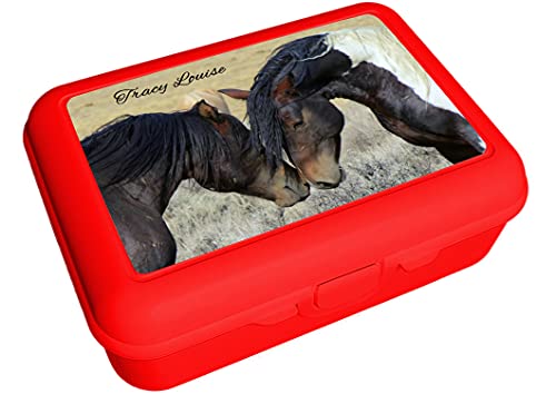 CreaDesign, Kinder Brotdose, Lunchbox, Vesperbox rot mit Fächern Einsatz, ideal für Kita, Kindergarten und Schule, Paint Horses, 13,9 x 19 x 7 cm, Volumen 1 Liter von CreaDesign