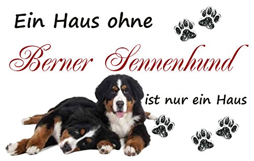 Crealuxe Fussmatte EIN Haus ohne Berner Sennenhund ist nur EIN Haus - Fussmatte Bedruckt Türmatte Innenmatte Schmutzmatte lustige Motivfussmatte von Crealuxe