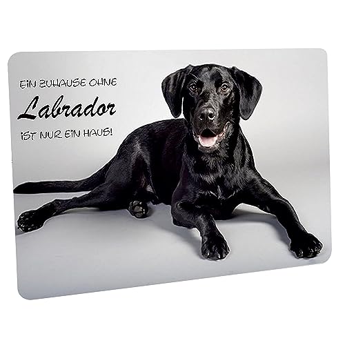 Crealuxe Fussmatte EIN Haus ohne Labrador ist nur EIN Haus - - Fussmatte Bedruckt. - Türmatte Innenmatte Schmutzmatte lustige Motivfussmatte von Crealuxe