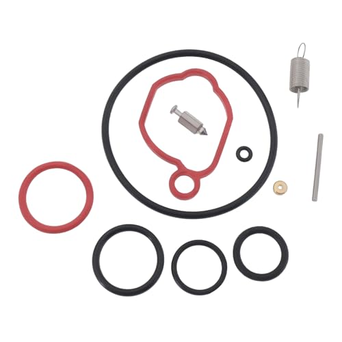 Create idea 1 Set von Vergaser Überholung Reparatur Kit Kompatibel mit B&S 500E 550E 575E 300E 450E BS 590589 591120 Dichtung-Luftfilter 799580 Dichtung O-Ring 270344S 799581 von Create idea