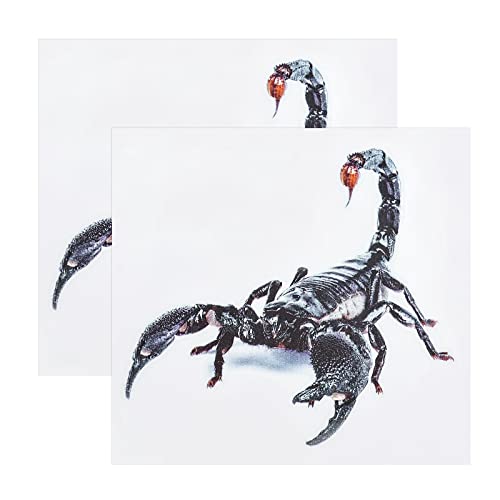 Create idea 2 Stück 3D Lebensechte Skorpion Aufkleber Simulation Reptil Aufkleber Selbstklebendes PVC Dekoratives Emblem Abzeichen für Auto Motorrad Fenster Wand Laptop von Create idea