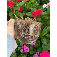 Kürbisglas Tasse von CreatedbyMariShop