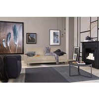 Creation BY ROLF BENZ 3-Sitzer "CR.450, Designsofa, Loungesofa", Armlehne niedrig, Fuß chromfarben glänzend, Breite 204 cm von Creation By Rolf Benz