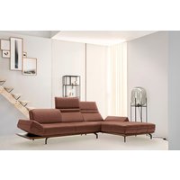 Creation BY ROLF BENZ Ecksofa "CR.420, Designecksofa, L-Form", in 2 Qualitäten, Holzrahmen in Eiche Natur oder Nußbaum, Breite 293 cm Creation BY ROLF BENZ Ecksofa "CR.420, Designecksofa, L-Form", in 2 Qualitäten, Holzrahmen in Eiche Natur oder Nußbaum, Breite 293 cm von Creation By Rolf Benz