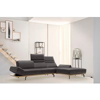 Creation BY ROLF BENZ Ecksofa "CR.420, Designecksofa, L-Form", in 2 Qualitäten, Holzrahmen in Eiche Natur oder Nußbaum, Breite 293 cm Creation BY ROLF BENZ Ecksofa "CR.420, Designecksofa, L-Form", in 2 Qualitäten, Holzrahmen in Eiche Natur oder Nußbaum, Breite 293 cm von Creation By Rolf Benz