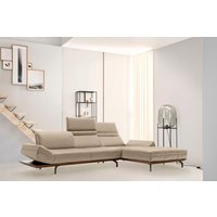 Creation BY ROLF BENZ Ecksofa "CR.420, Designecksofa, L-Form", in 2 Qualitäten, Holzrahmen in Eiche Natur oder Nußbaum, Breite 293 cm Creation BY ROLF BENZ Ecksofa "CR.420, Designecksofa, L-Form", in 2 Qualitäten, Holzrahmen in Eiche Natur oder Nußbaum, Breite 293 cm von Creation By Rolf Benz