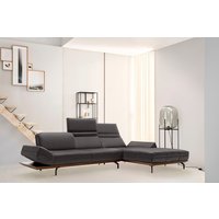 Creation BY ROLF BENZ Ecksofa "CR.420, Designecksofa, L-Form", in 2 Qualitäten, Holzrahmen in Eiche Natur oder Nußbaum, Breite 293 cm Creation BY ROLF BENZ Ecksofa "CR.420, Designecksofa, L-Form", in 2 Qualitäten, Holzrahmen in Eiche Natur oder Nußbaum, Breite 293 cm von Creation By Rolf Benz