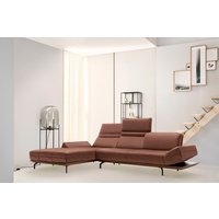 Creation BY ROLF BENZ Ecksofa "CR.420, Designecksofa, L-Form", in 2 Qualitäten, Holzrahmen in Eiche Natur oder Nußbaum, Breite 313 cm Creation BY ROLF BENZ Ecksofa "CR.420, Designecksofa, L-Form", in 2 Qualitäten, Holzrahmen in Eiche Natur oder Nußbaum, Breite 313 cm von Creation By Rolf Benz