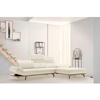 Creation BY ROLF BENZ Ecksofa "CR.420, Designecksofa, L-Form", in 2 Qualitäten, Holzrahmen in Eiche Natur oder Nußbaum, Breite 313 cm Creation BY ROLF BENZ Ecksofa "CR.420, Designecksofa, L-Form", in 2 Qualitäten, Holzrahmen in Eiche Natur oder Nußbaum, Breite 313 cm von Creation By Rolf Benz